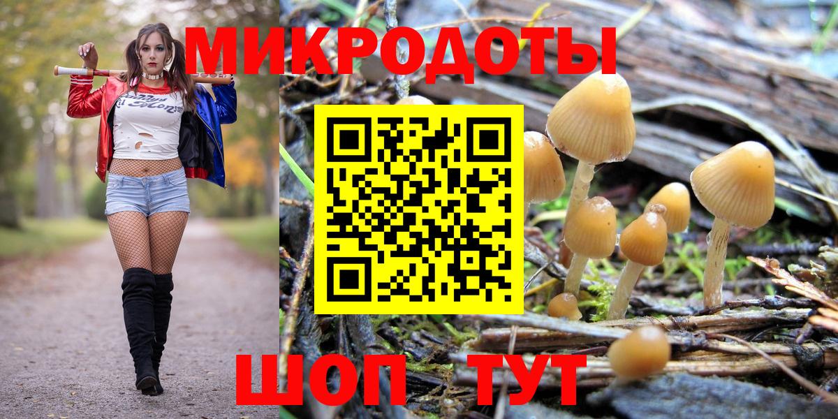 Соликамск  Псилоцибиновые грибы мицелий  Вход с VPN 