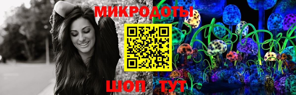 Галлюциногенные грибы Psilocybe Соликамск